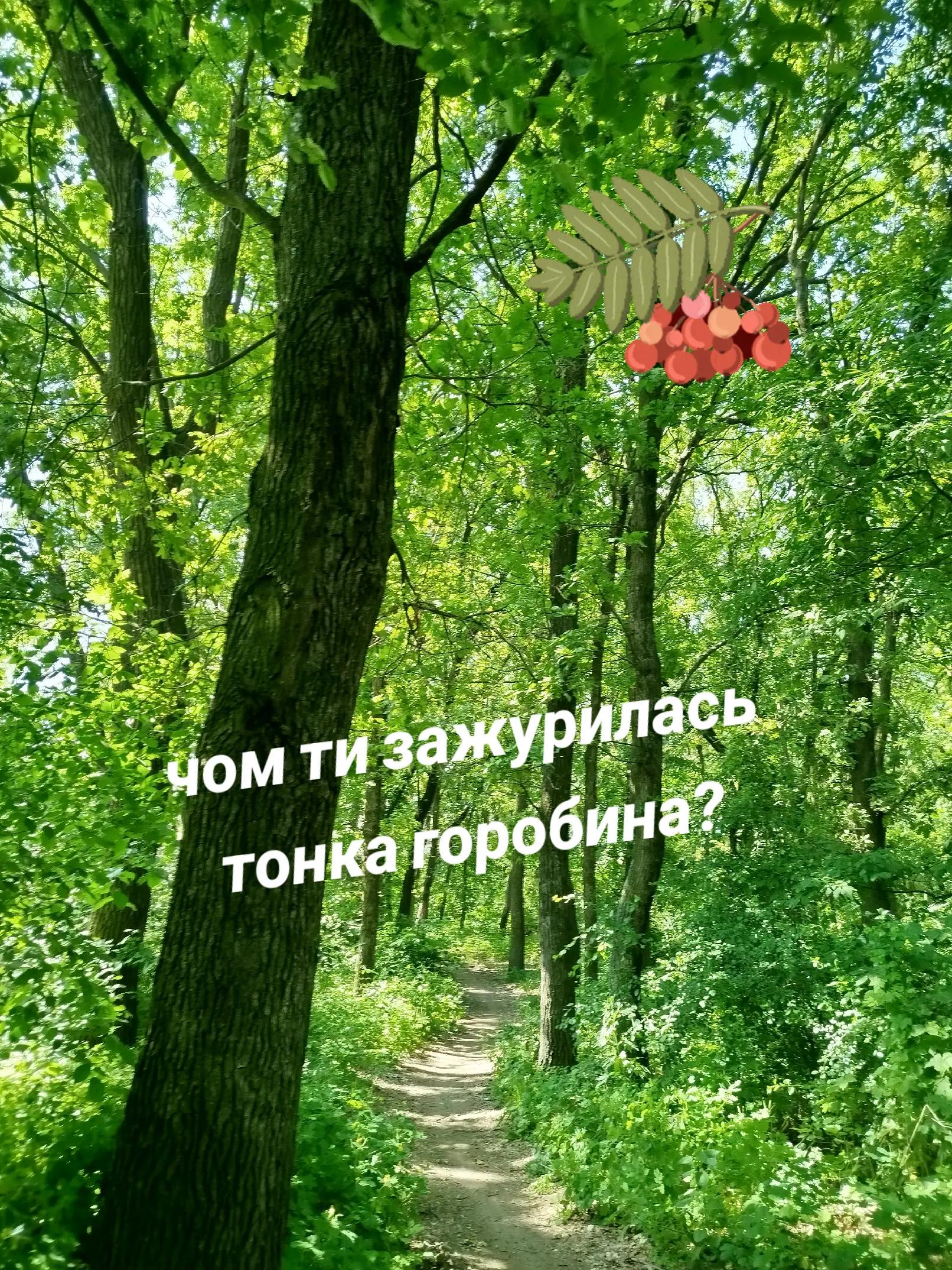 @NinaPianyk