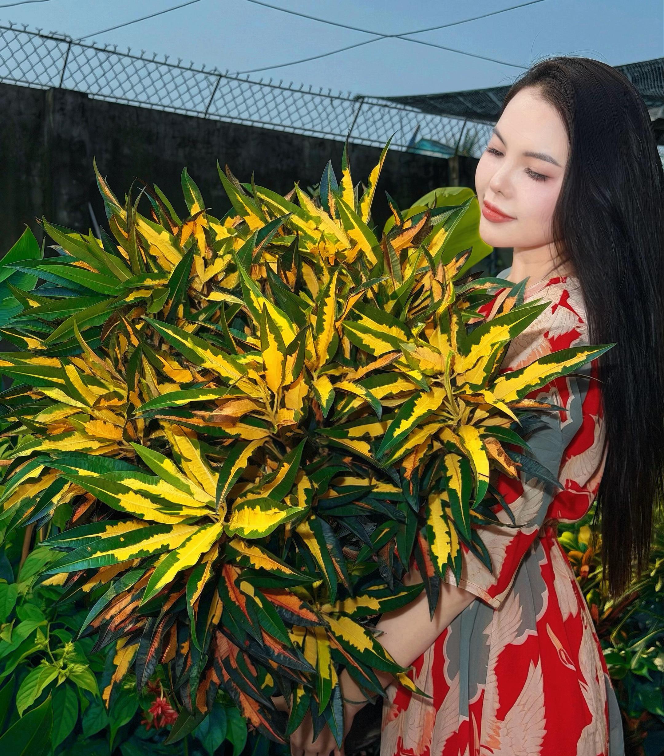 @Tiệm Lá Nhỏ