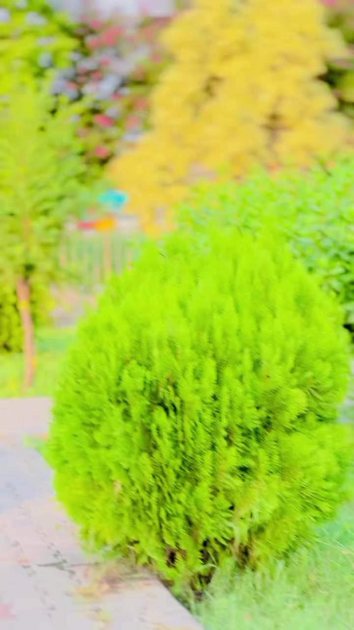 @ꫝꪖꪹỉక ƙꫝꪖ᭢ 302😈☠️