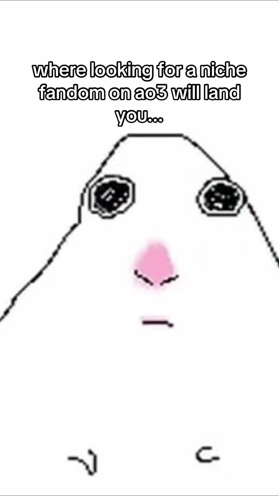 @leo