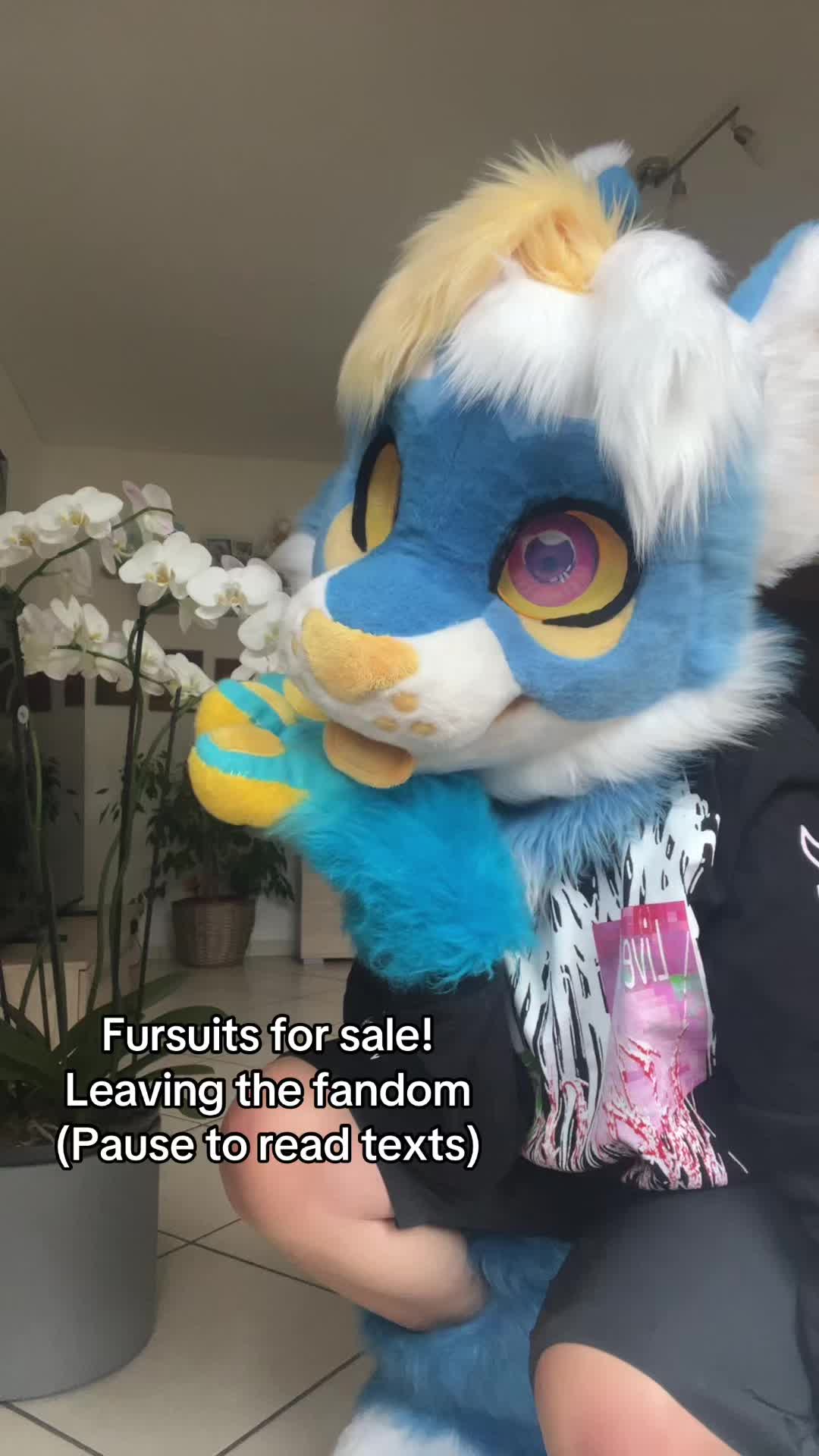 @Gooner Furry 😔 🔜 EF