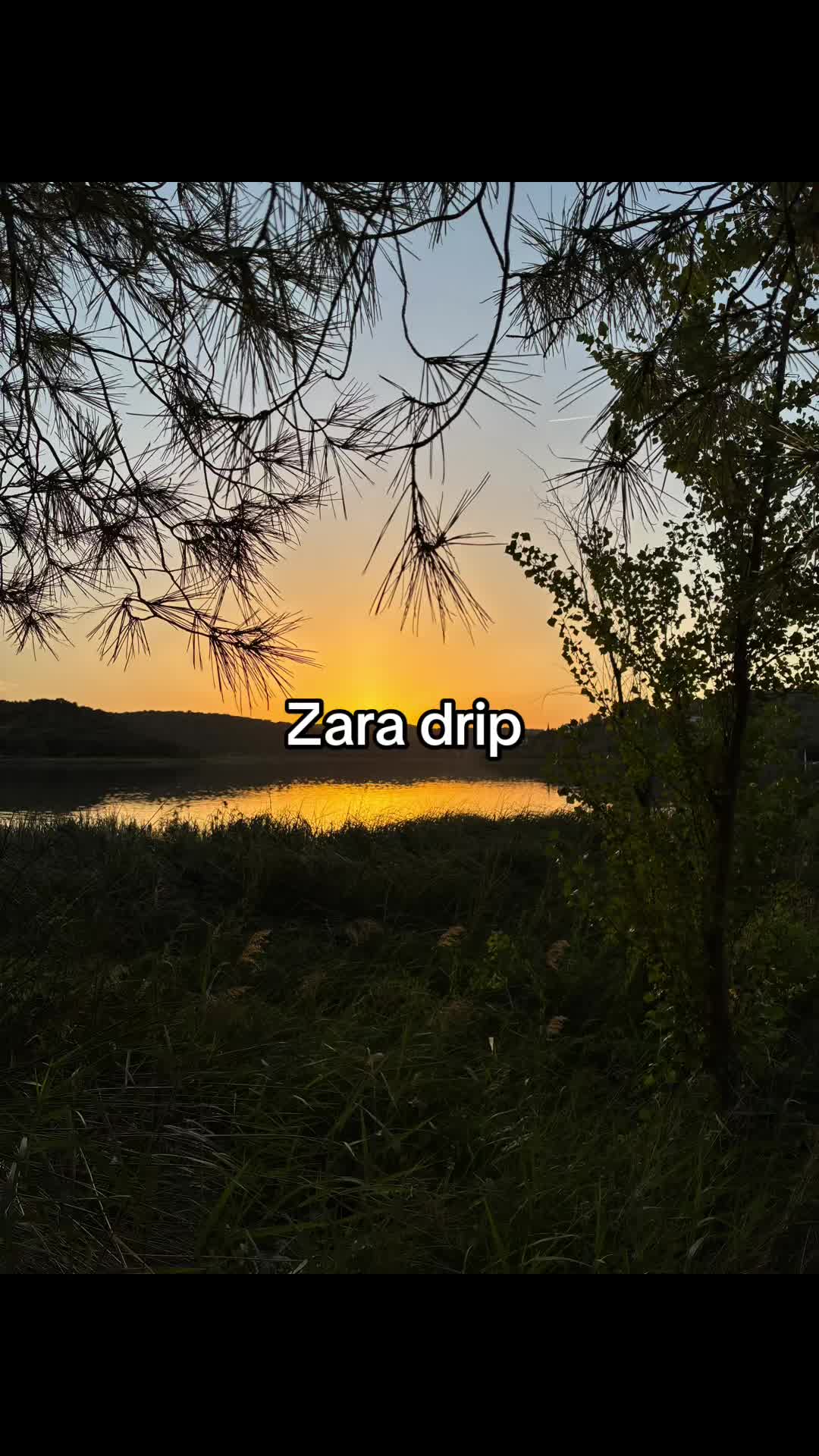 @lrd🌙