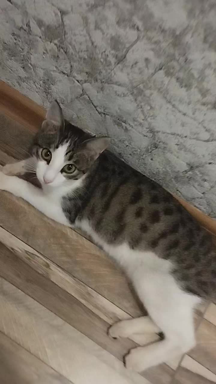 @miniş