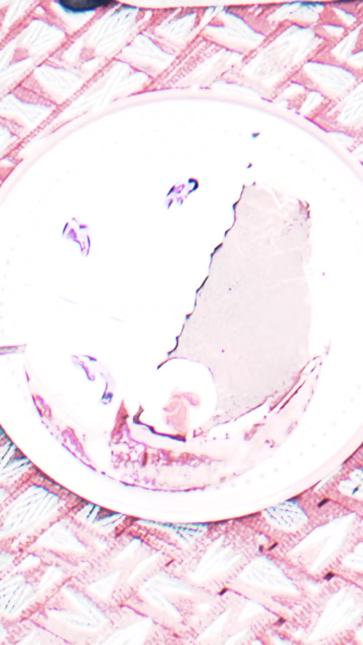 @A🫀M