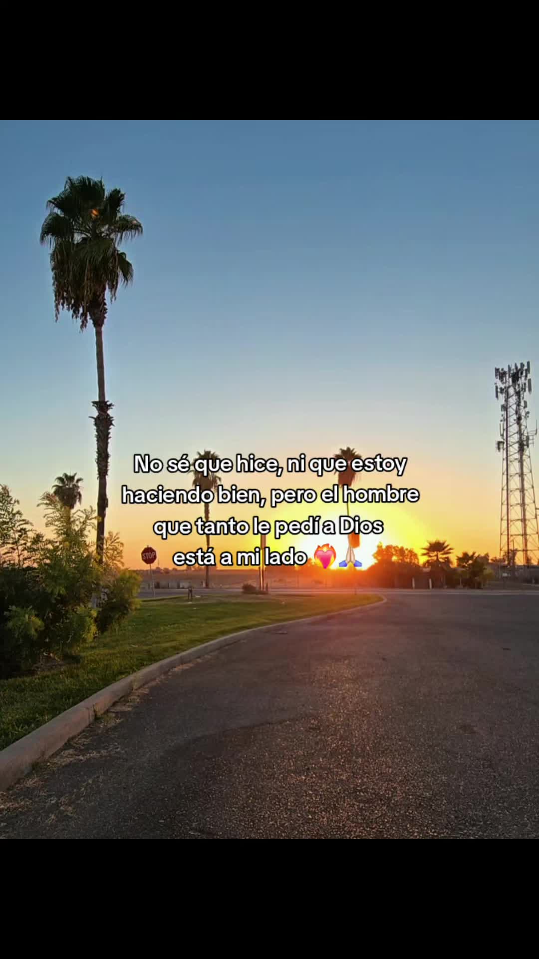 @🖤🦋FER_BRIZZO LA LOBA 🐺☀︎︎☽︎