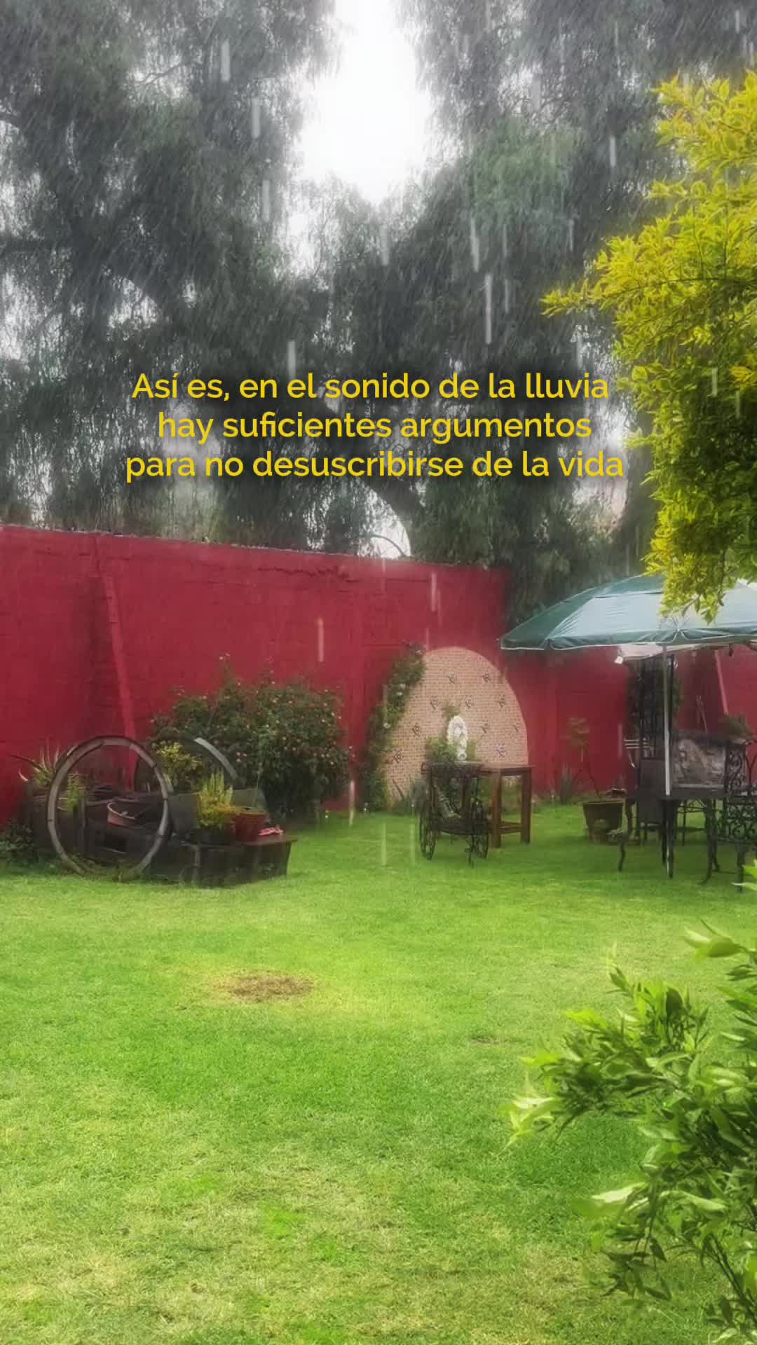 @Alexis Perales