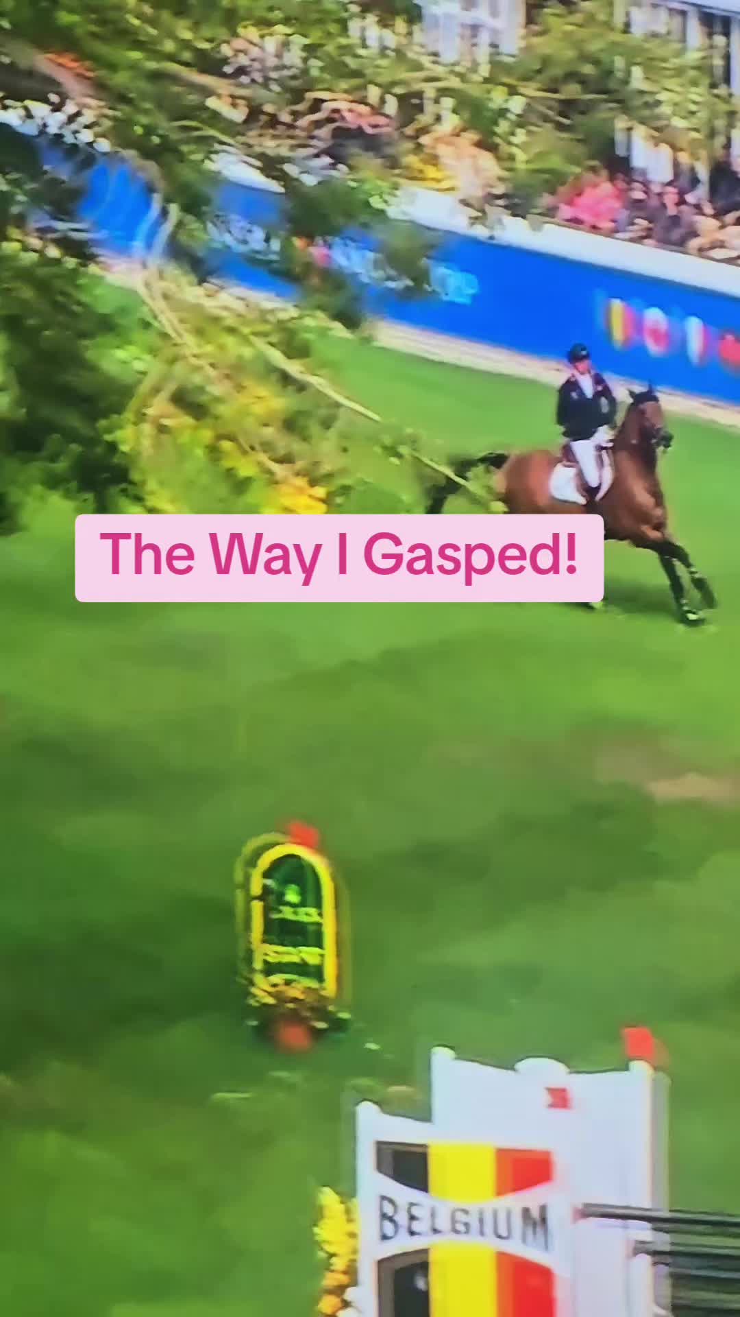 @DressageHub