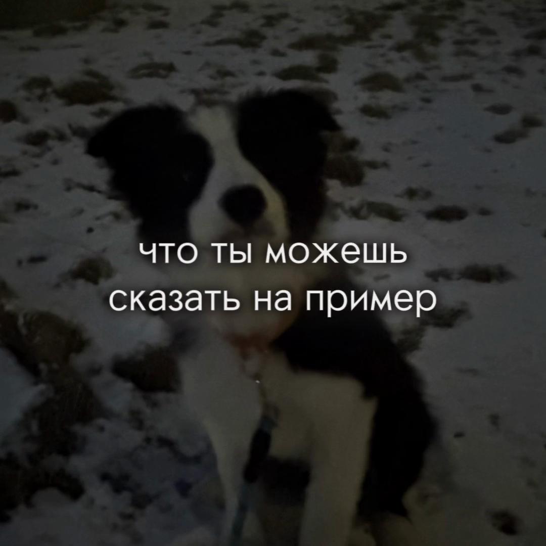 @🖤Ronik🤍