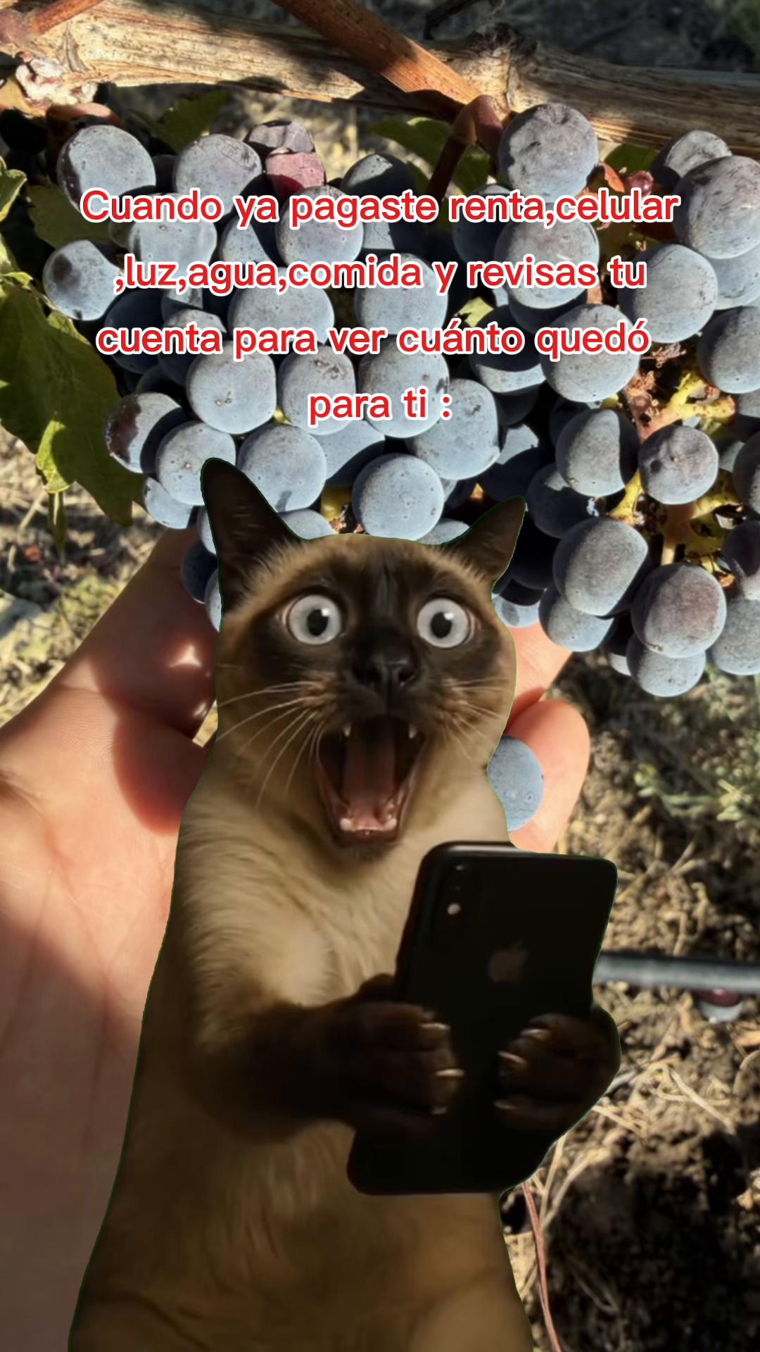 @Sandra Santiago