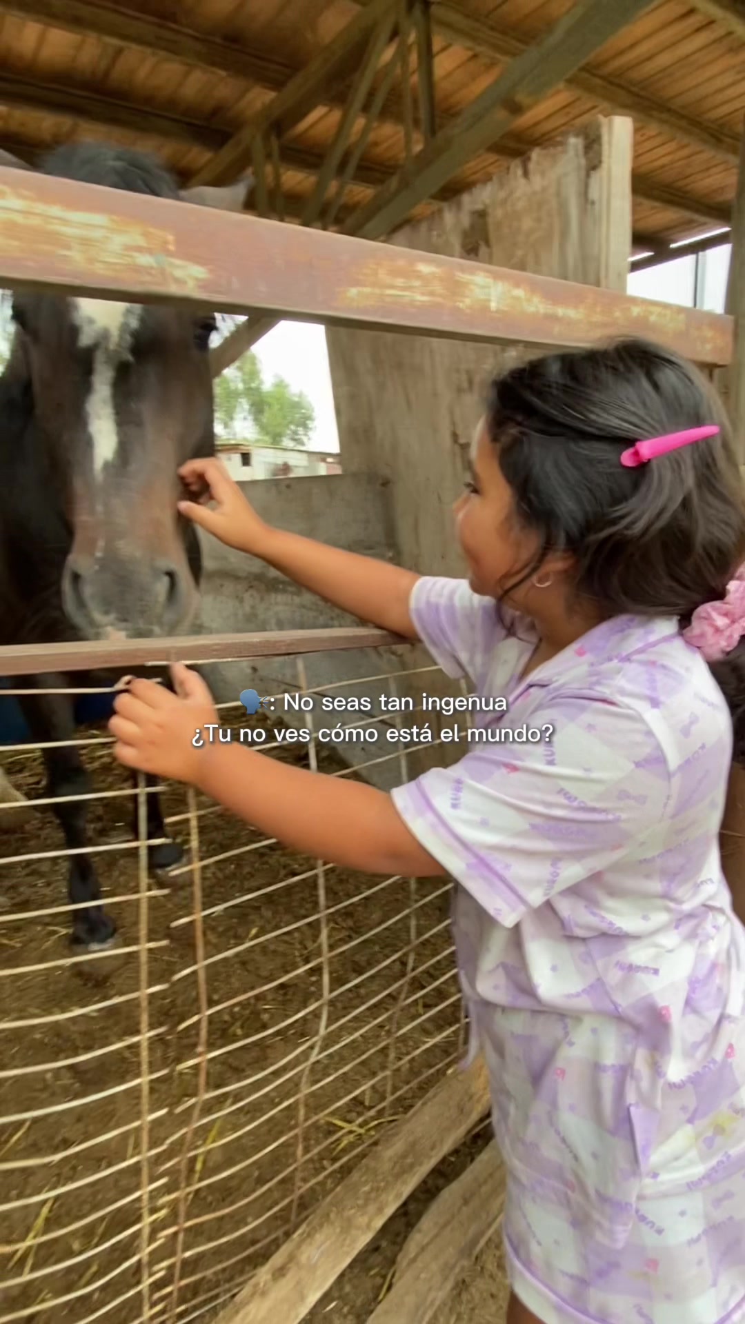 @Carolina Hinojosa