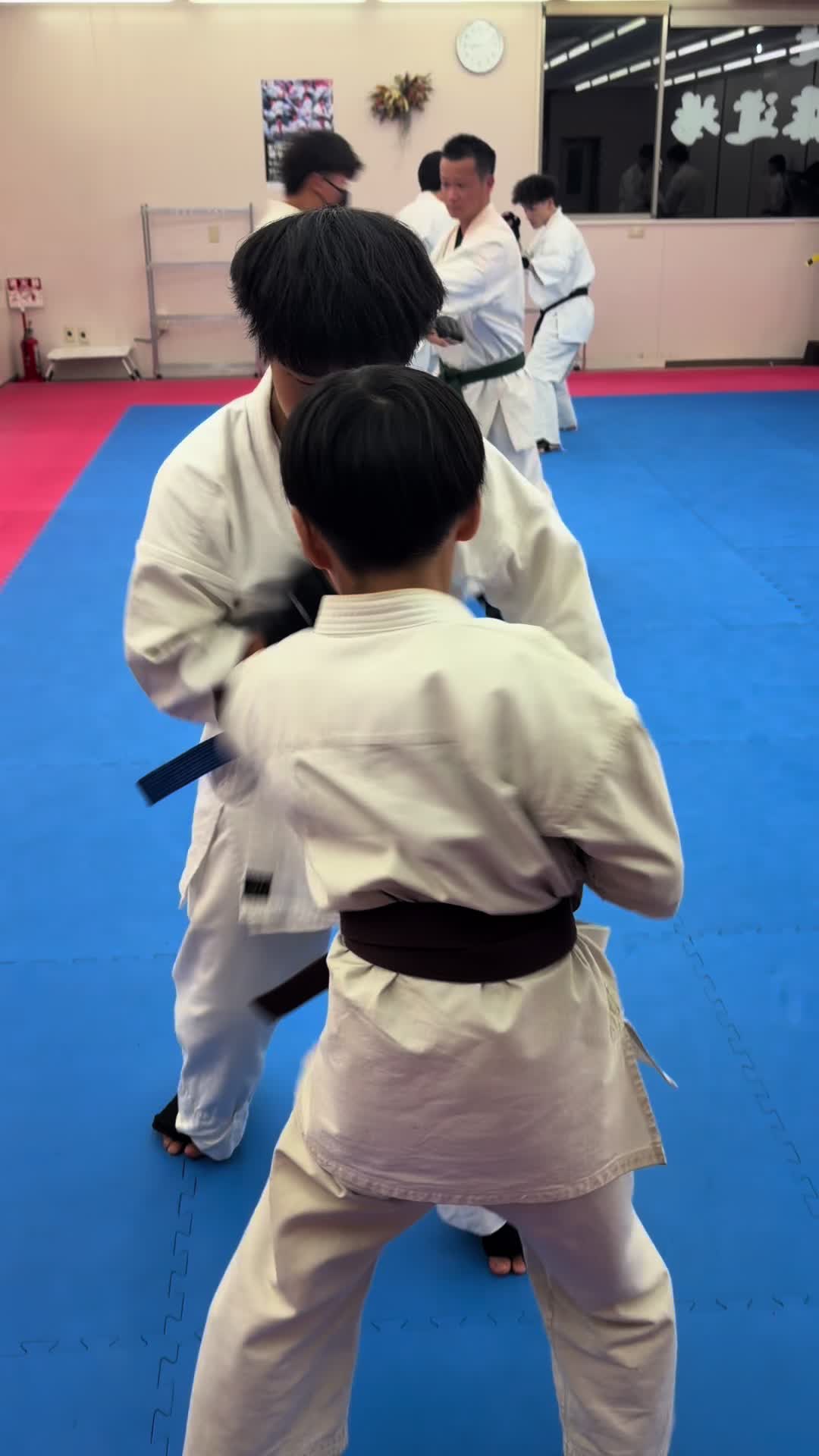 @kudodojo