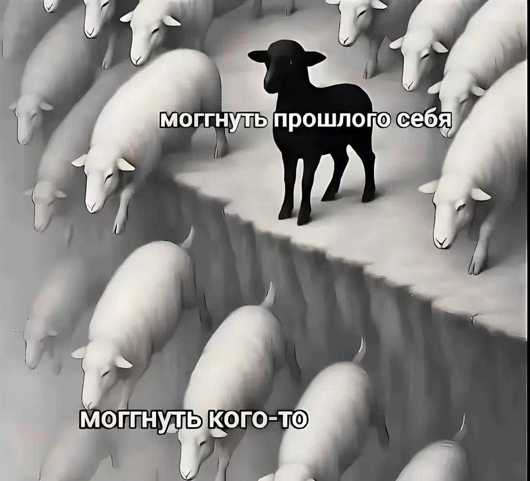 @сообще...