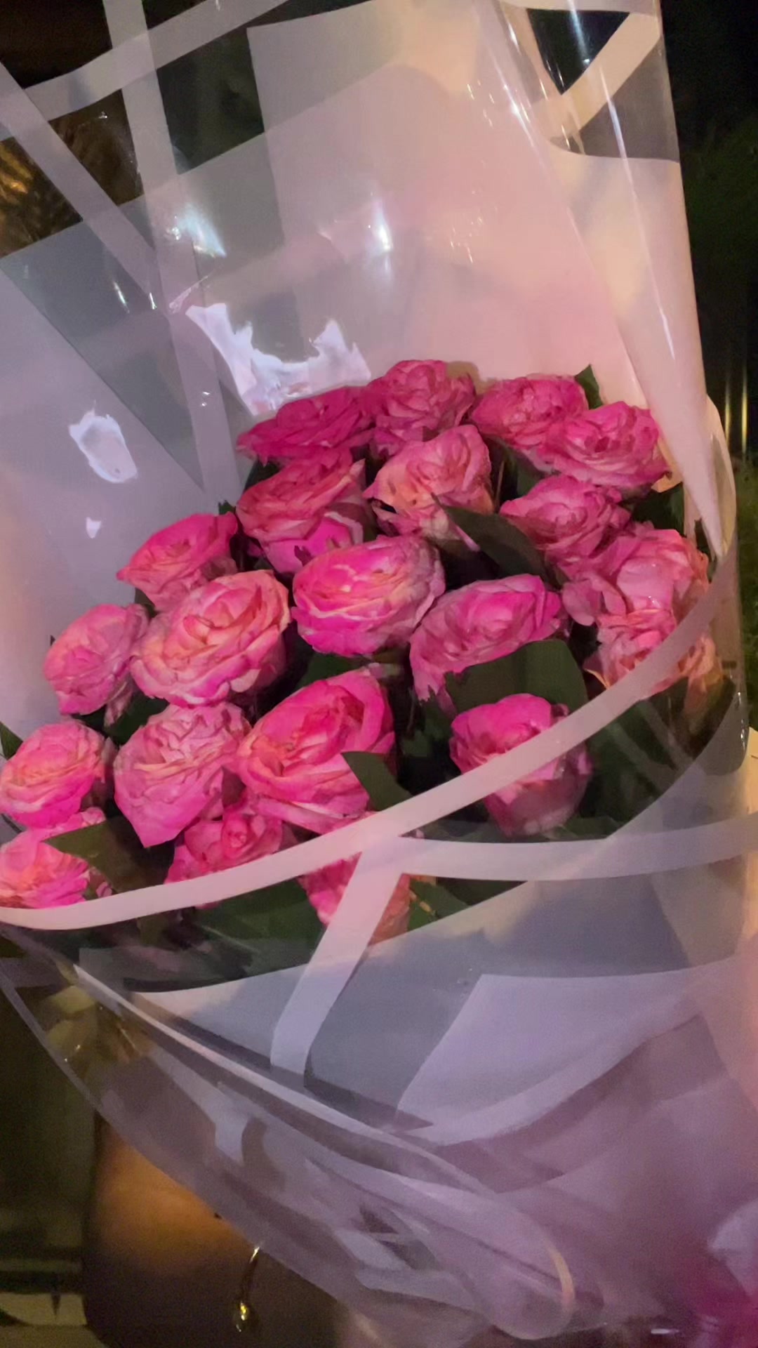 @PUJA_DHAR🕊️