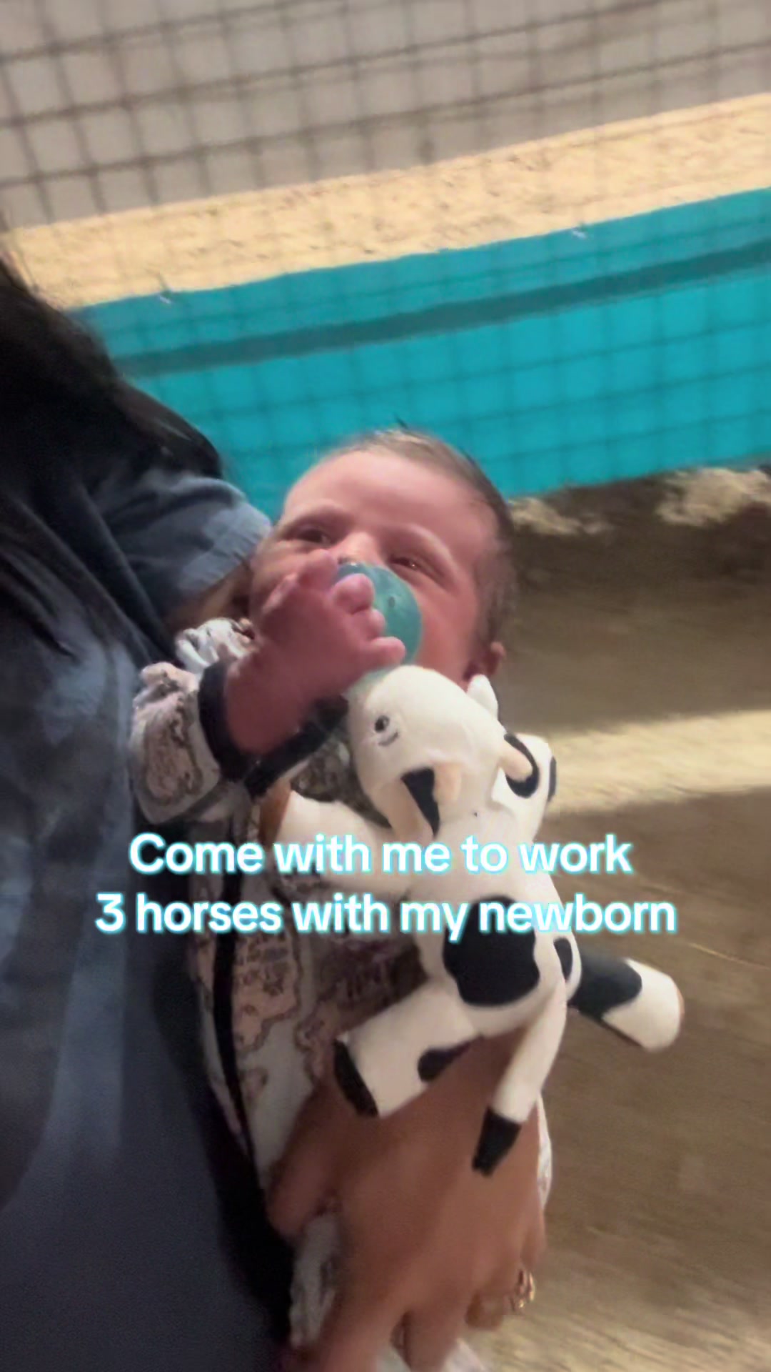 @Living Lucky Quarter Horses
