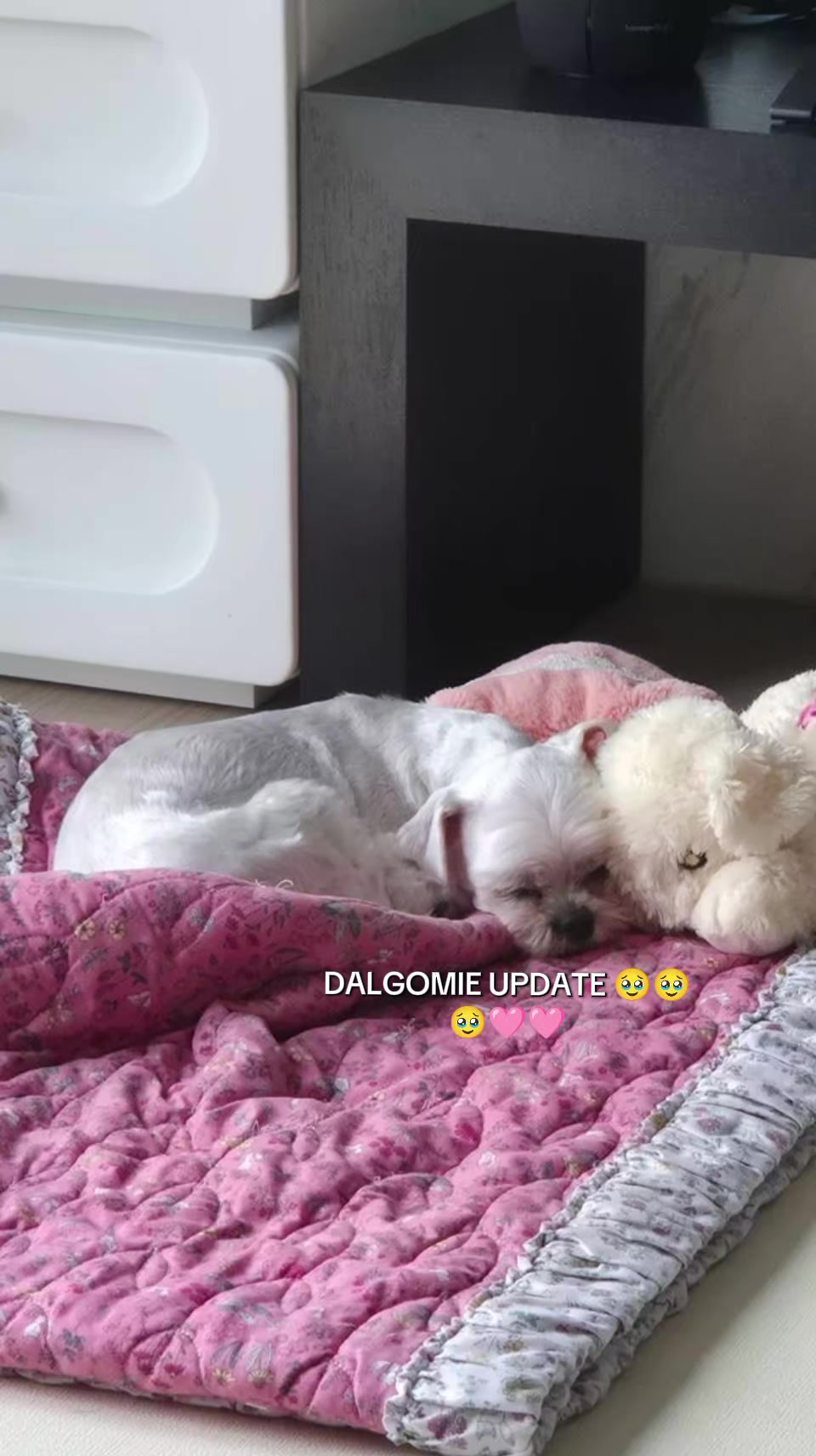 @AstriJensoo