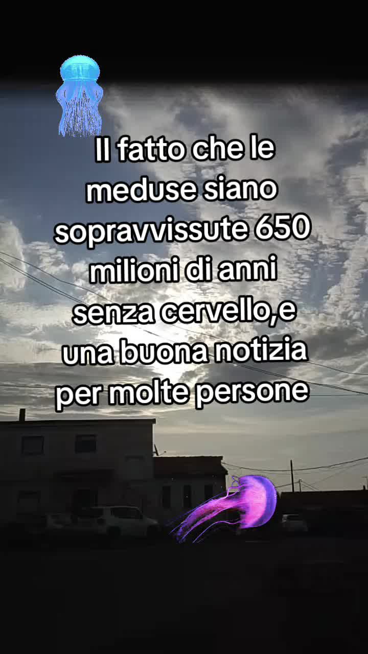 @Francesca Di sanza