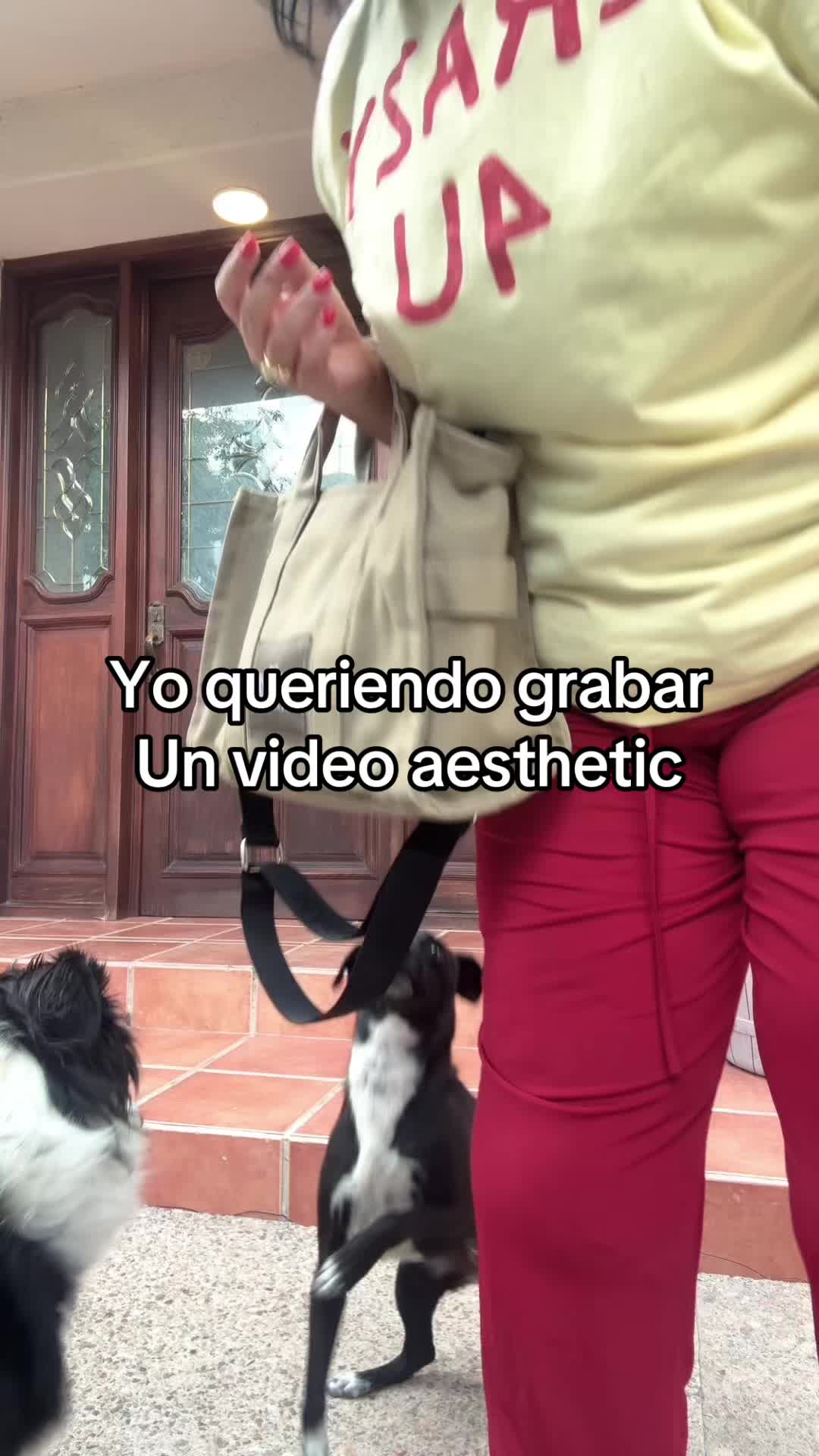 @Chicas Plus MX