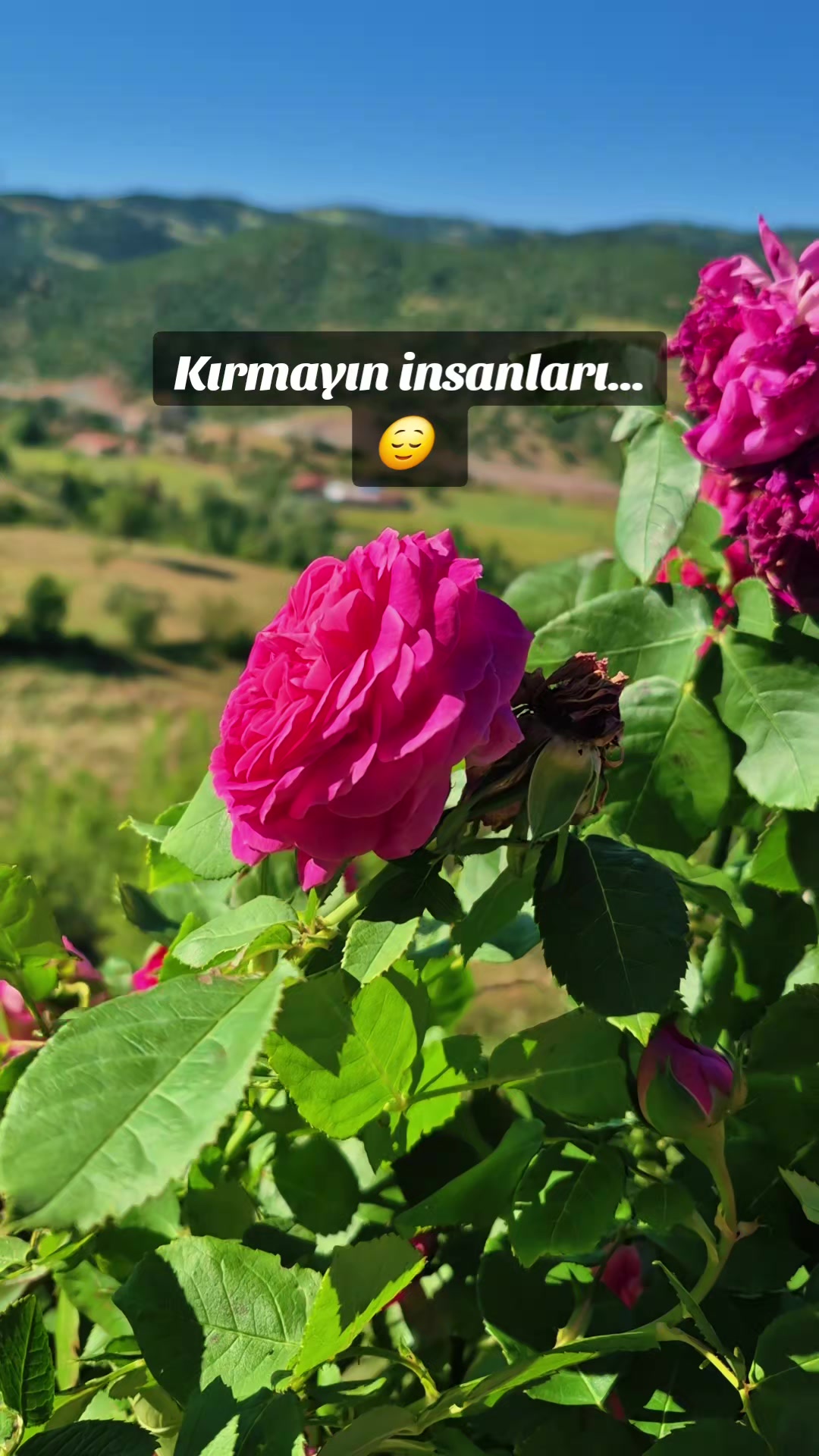 @deniz_yildizi43⭐️⭐️⭐️