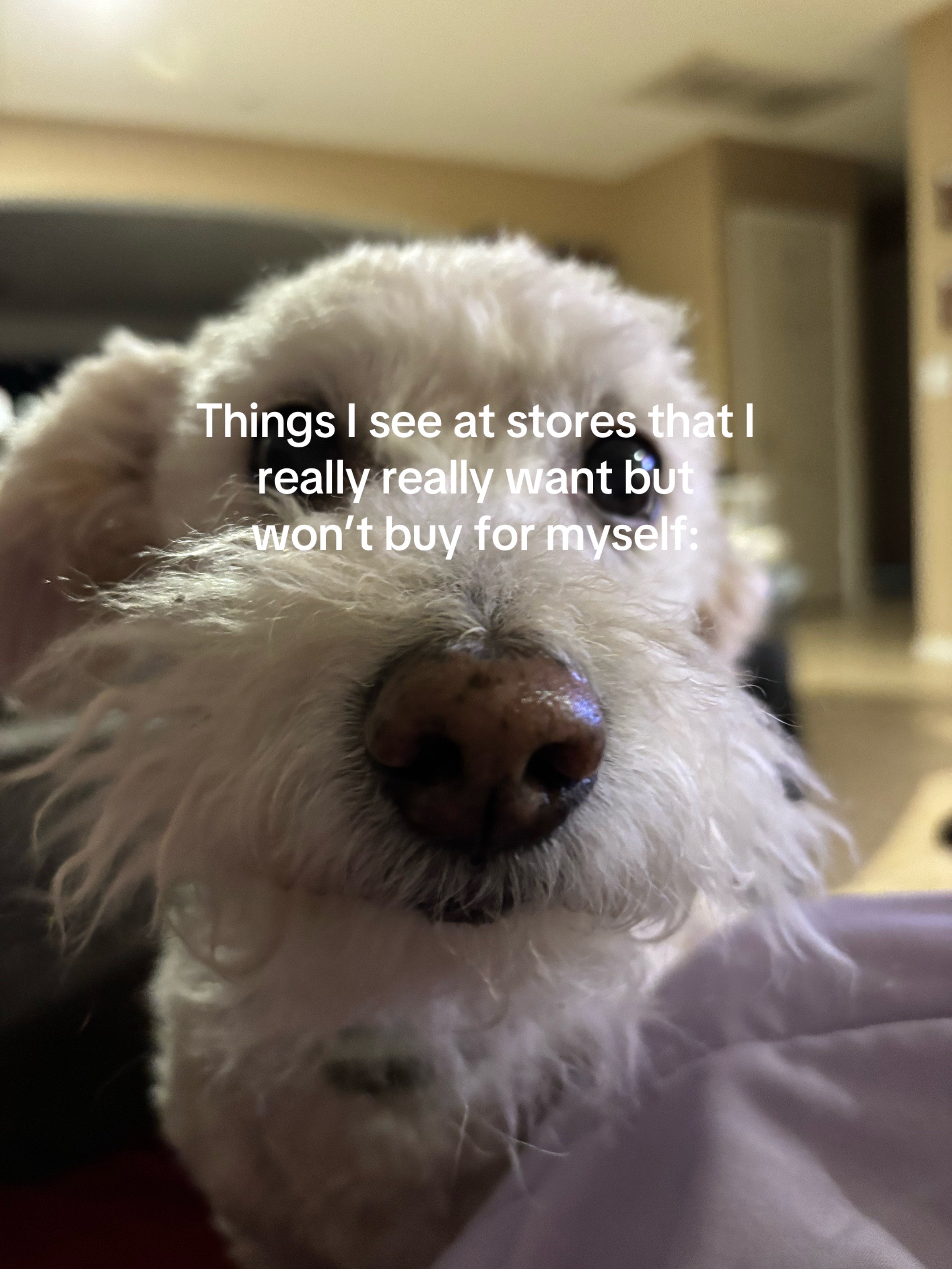 @whatsthatphrase