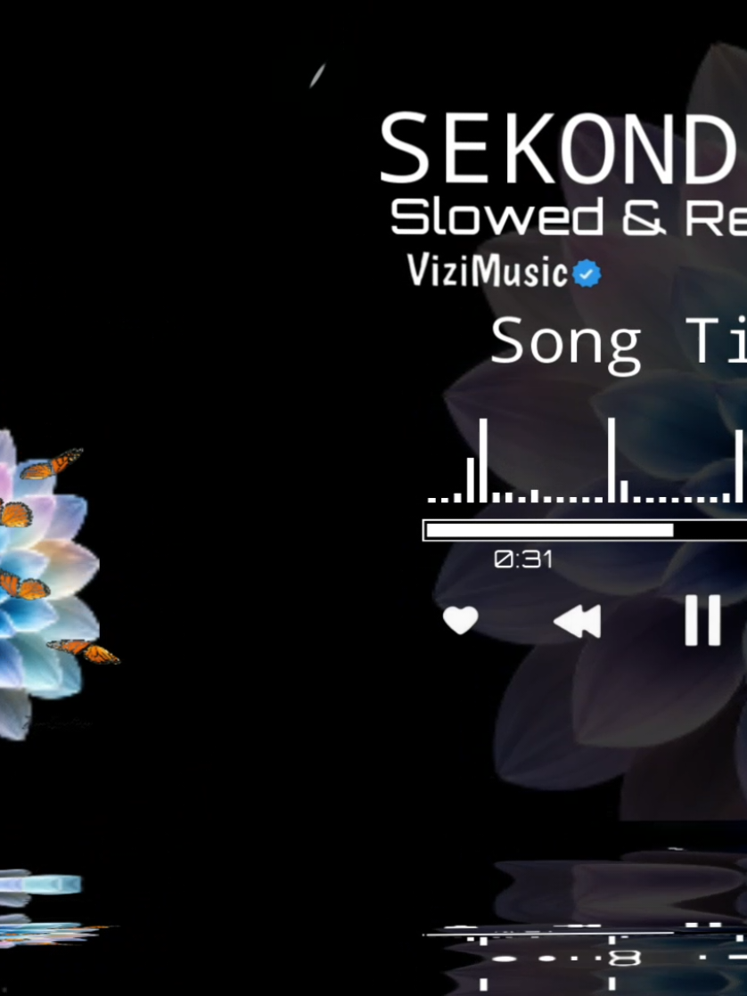 @Vizi Music