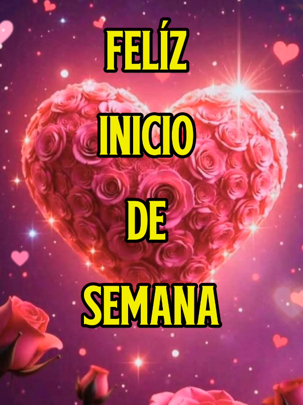 @sol&luna