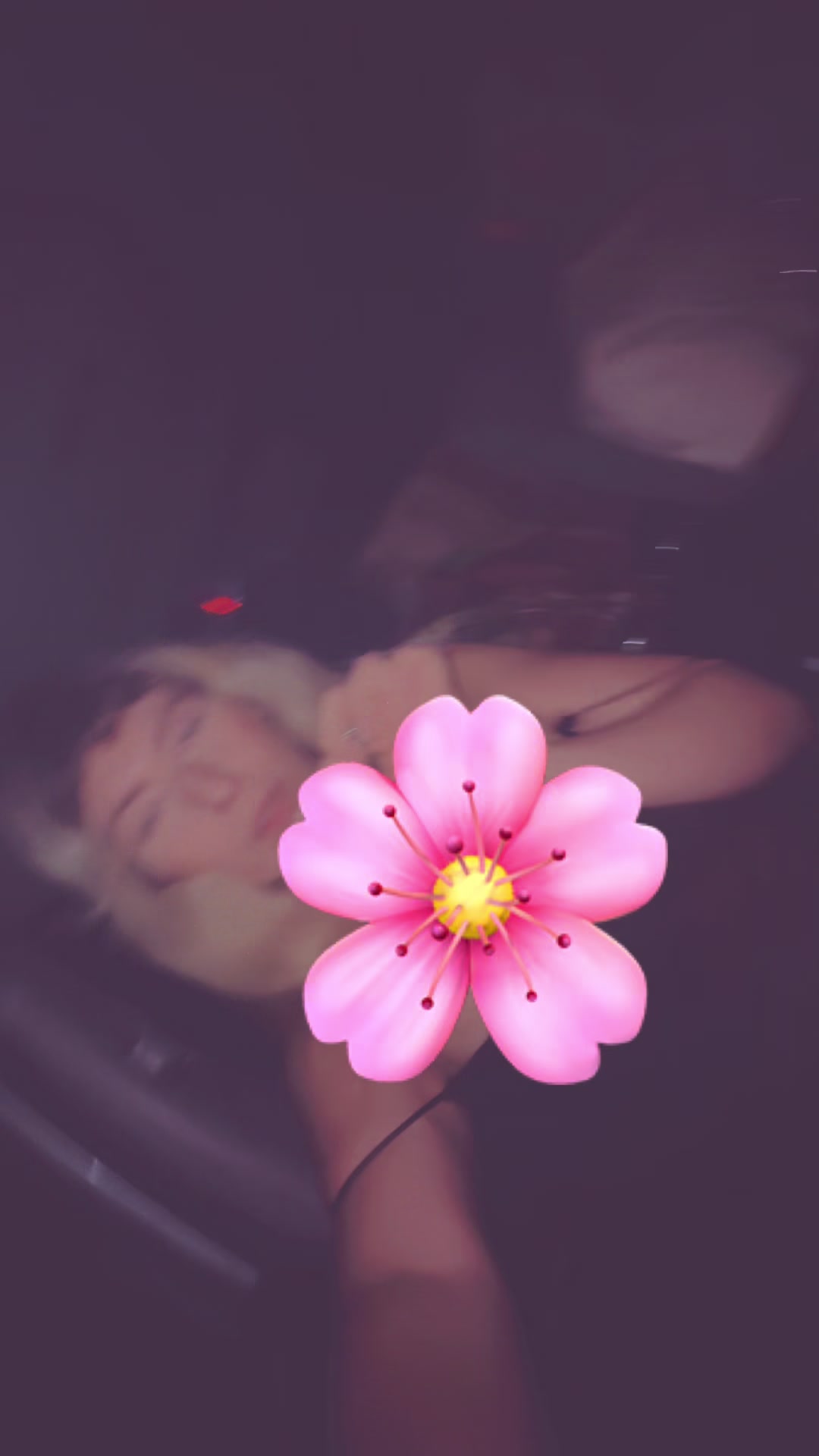 @Barbiedolleve111