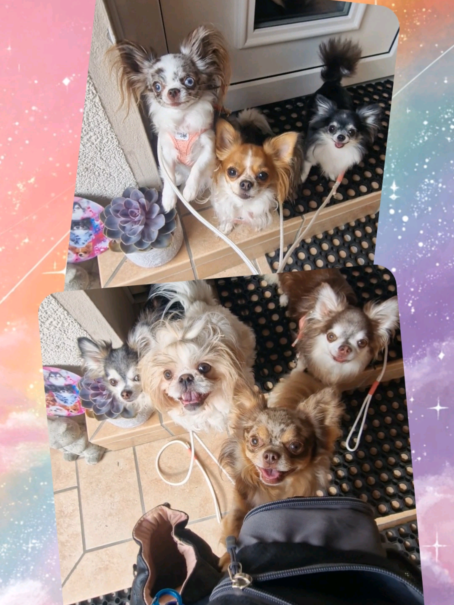 @꧁ 𝒮𝒶𝓃𝓃𝒾 ꧂