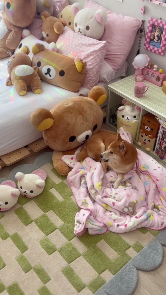 @Fab ʕ – ᴥ – ʔ