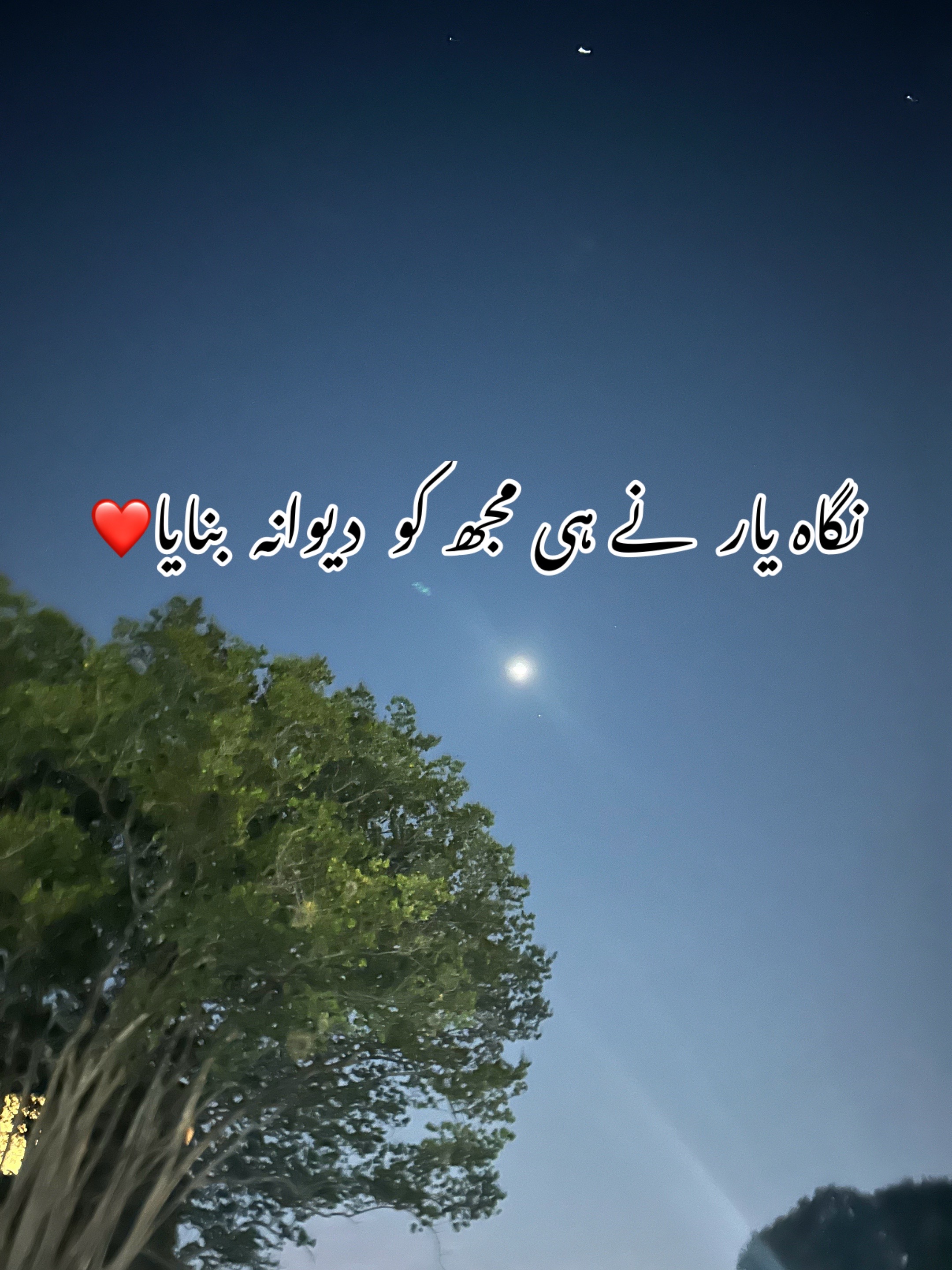 @ZaraHayat020104
