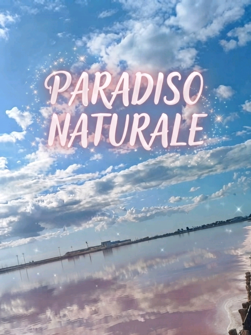 @Fenicottero Reale 🦩