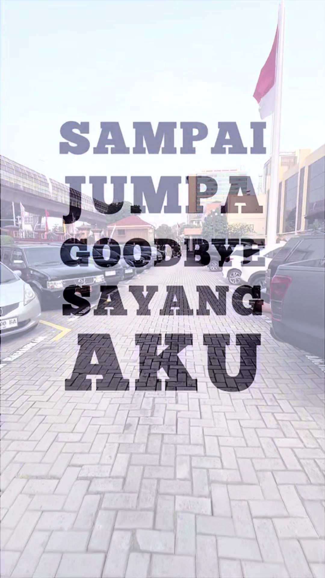 @Cidew♈️