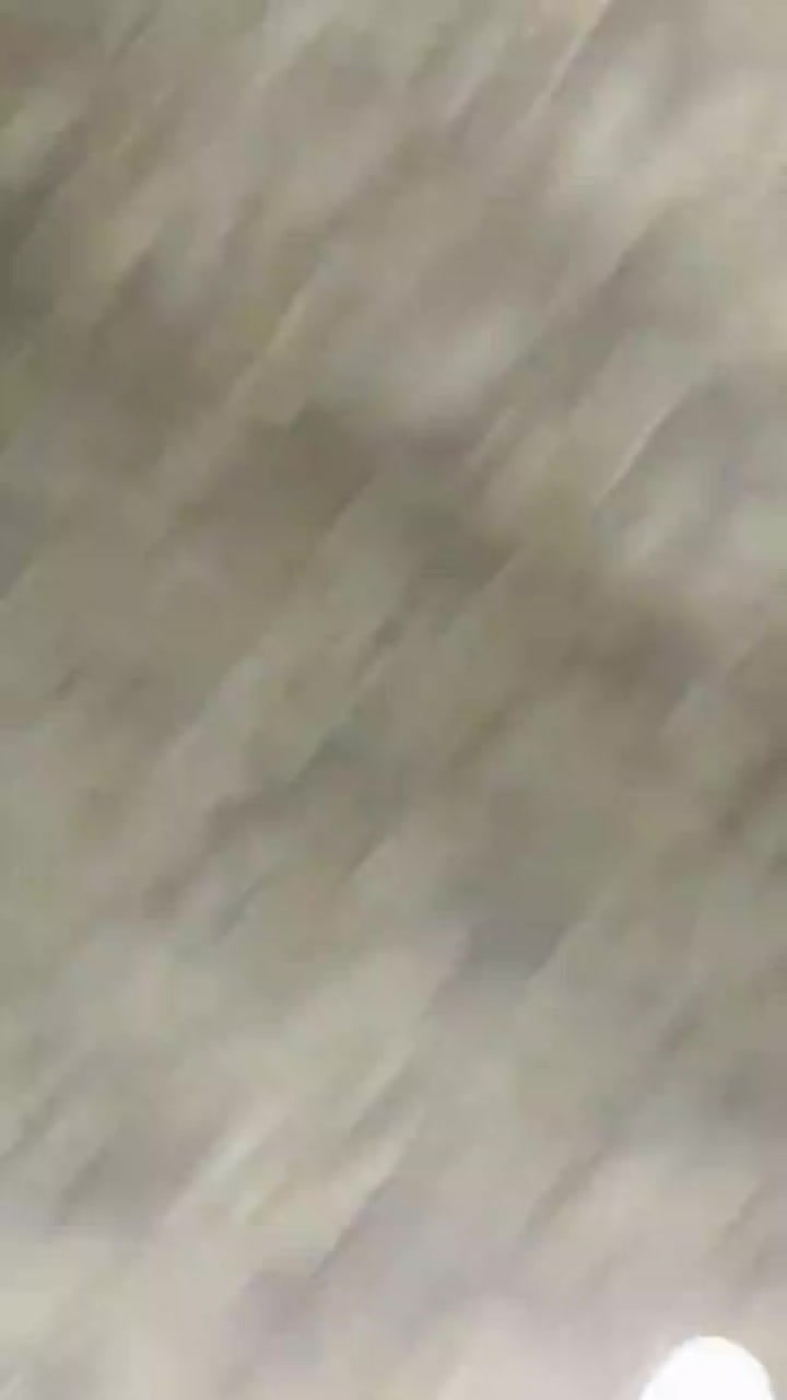 @Gul Rukhsar🤍