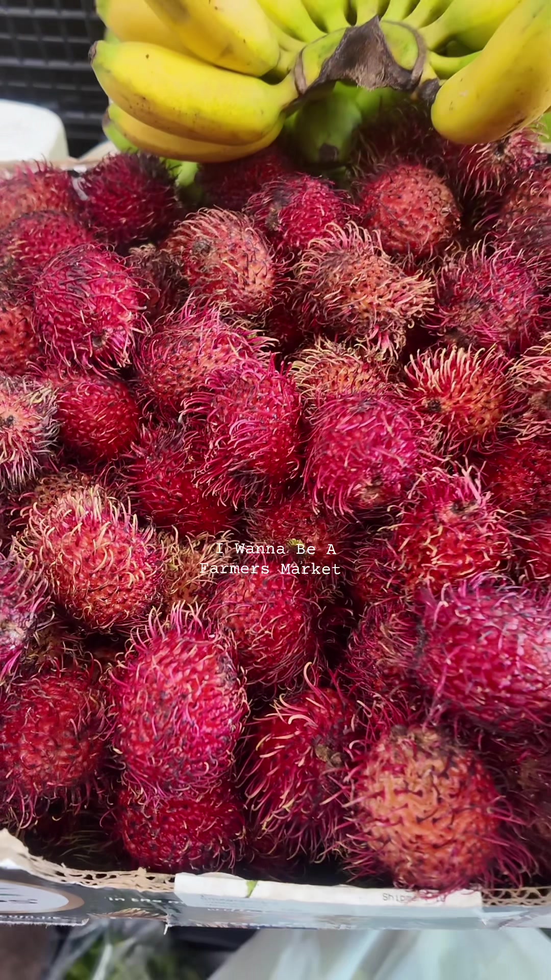 @MJizzles✨