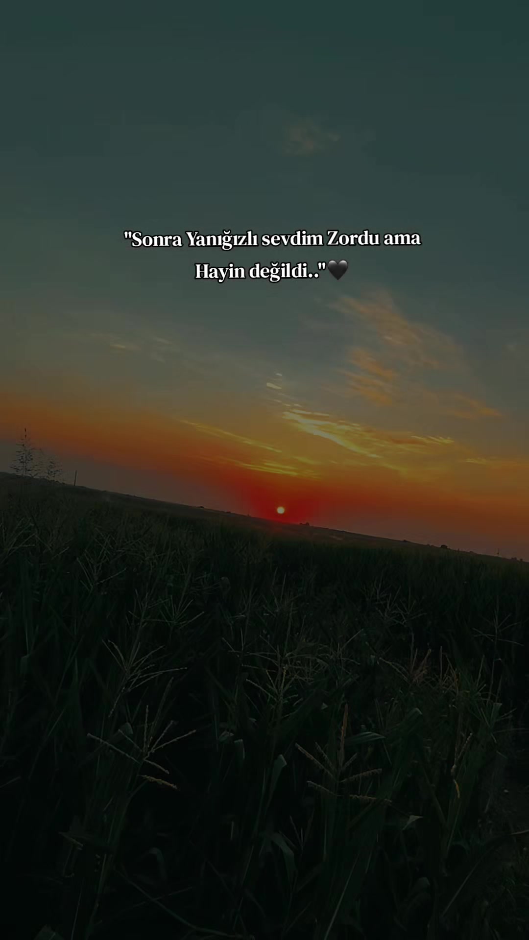 @𝐒 𝐓 𝐄 𝐑 𝐊 ✷