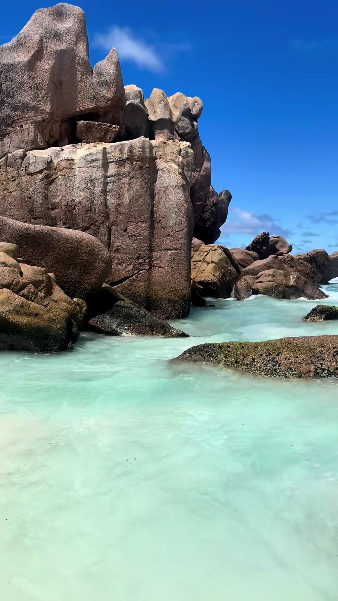 @𝕋𝕚𝕟𝕜𝕖𝕣𝕓𝕖𝕝𝕝 🧚🏝️