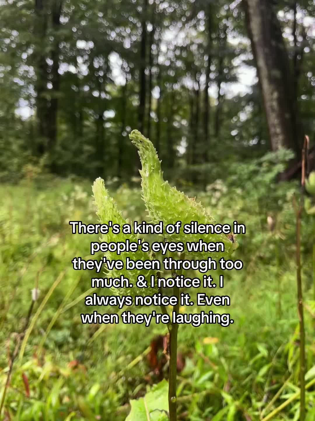 @WhimsicallyWeeded12
