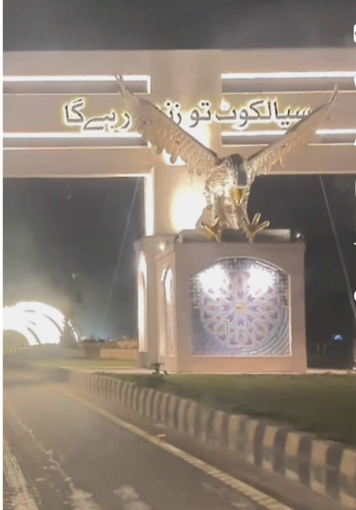 @alihamza10005
