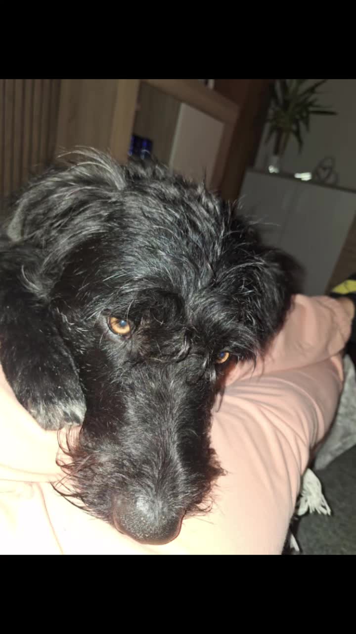 @Strobelmix Frauchen