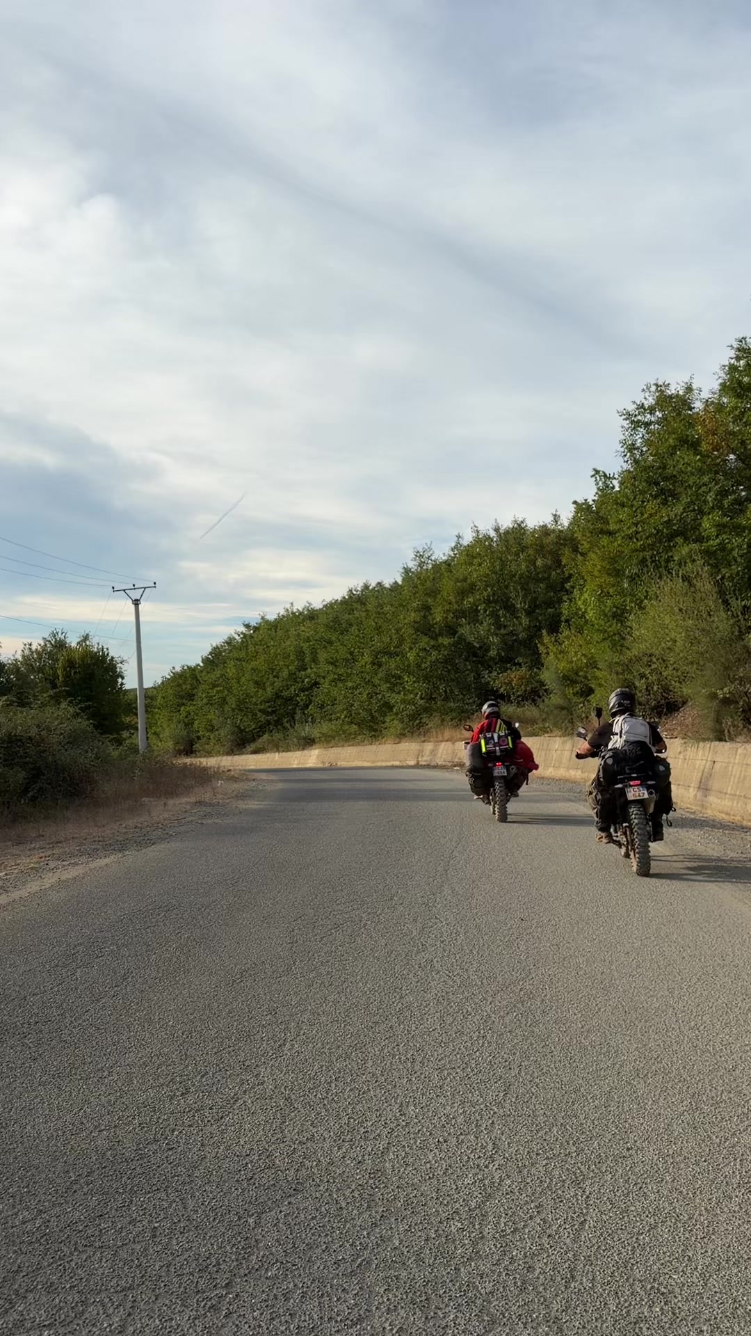 @ergist33