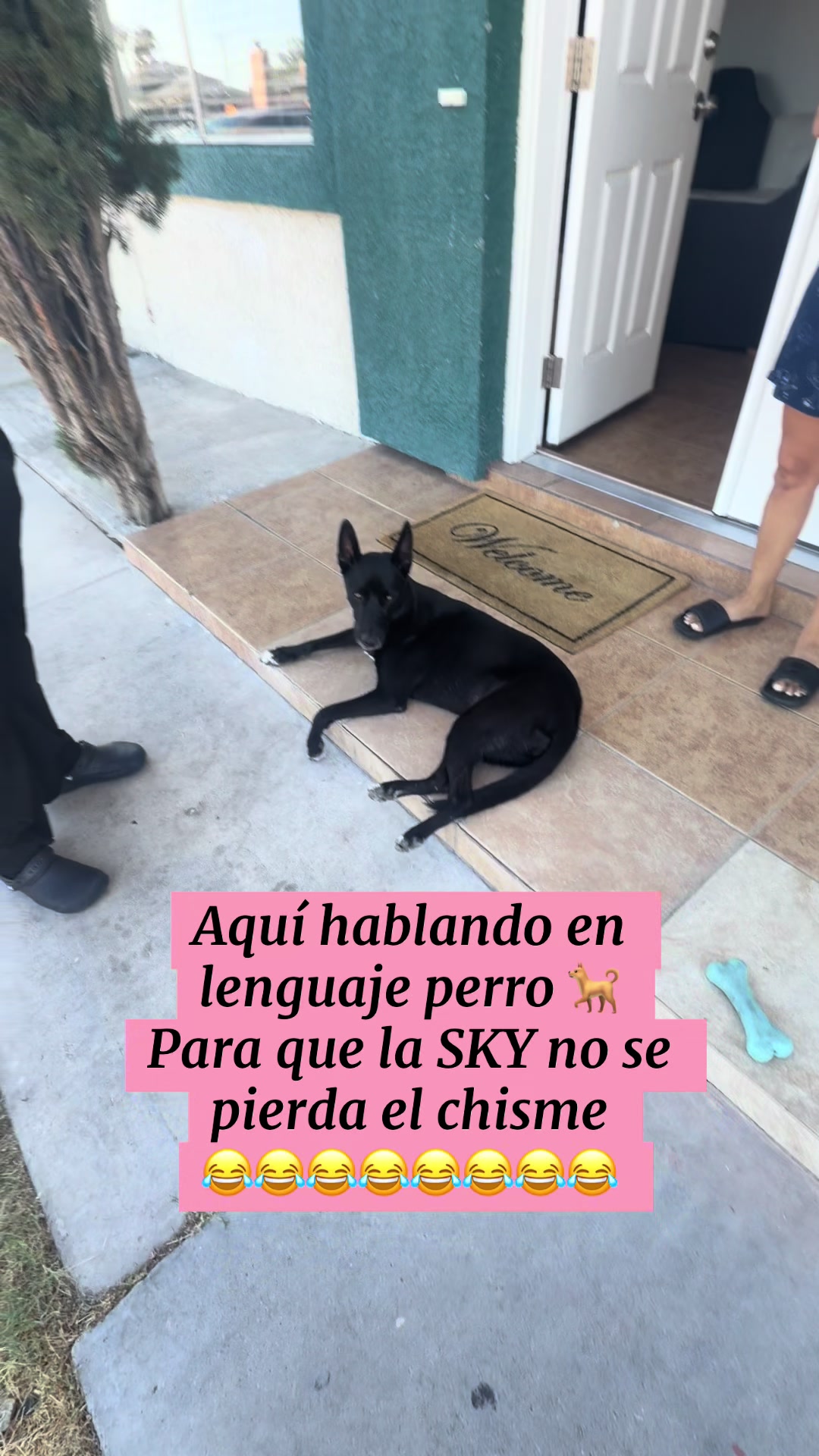 @🇳🇮🇺🇸KaMil Lezama💜❤️