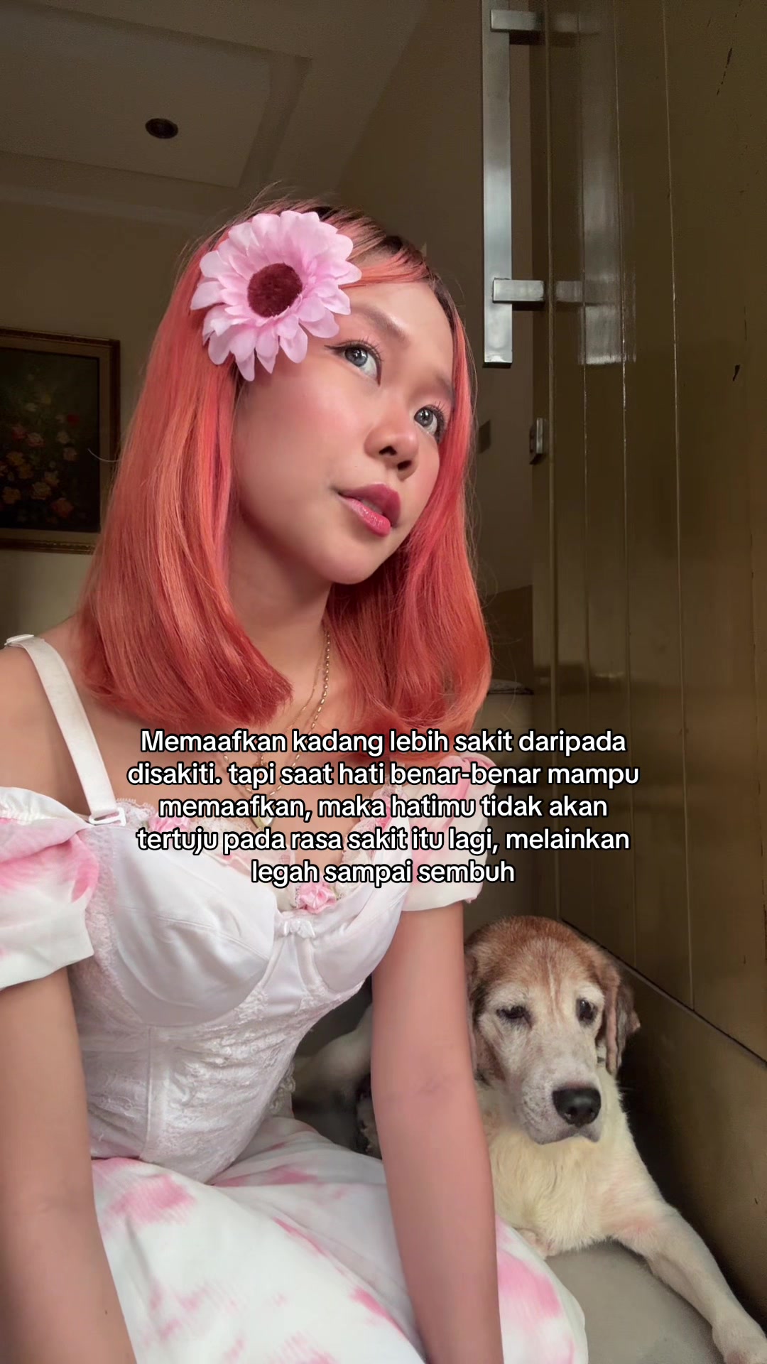 @dei ૮ ˙Ⱉ˙ ა