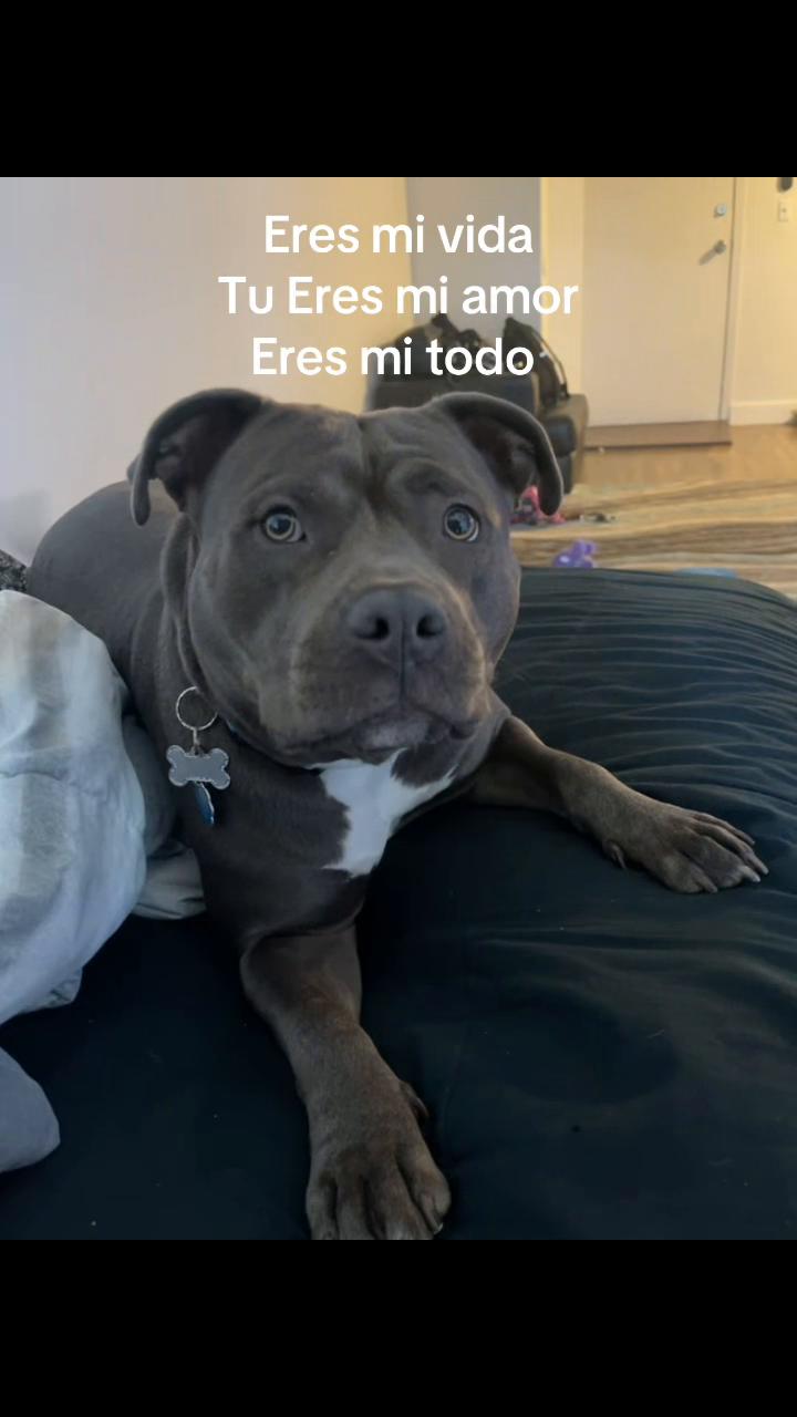 @Nat