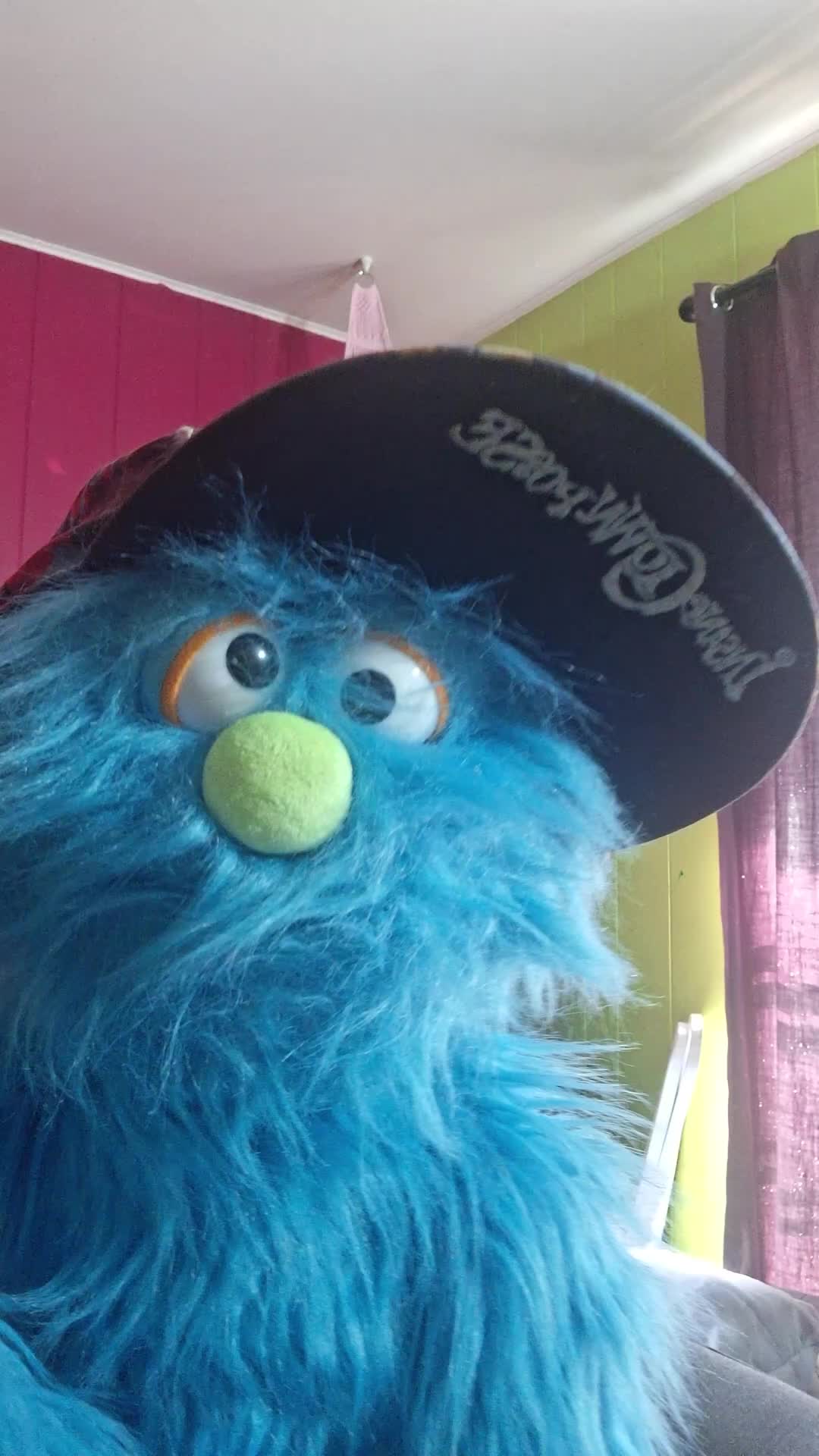 @🖤pickelrick/ juggalo Muppet💜