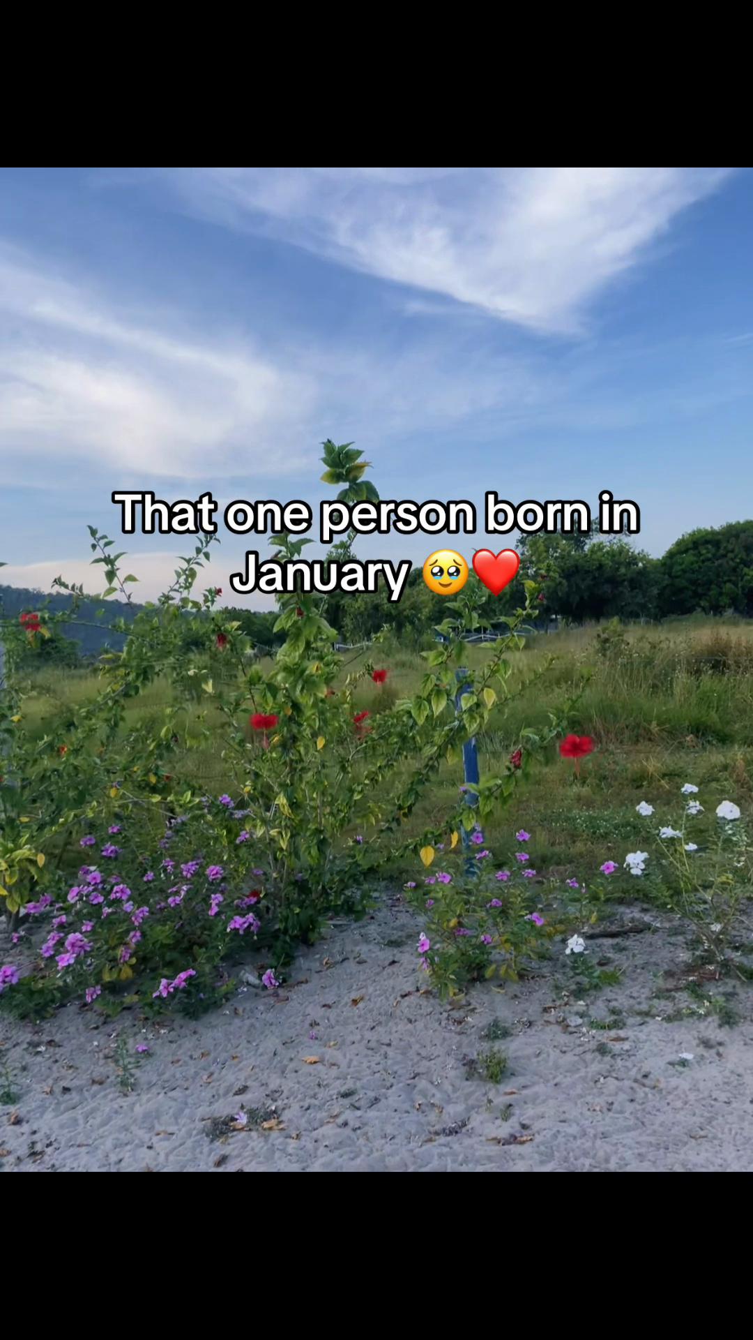 @𖤐 𝓐𝓽𝓴𝓲𝓷𝓼𝓸𝓷 𖤐