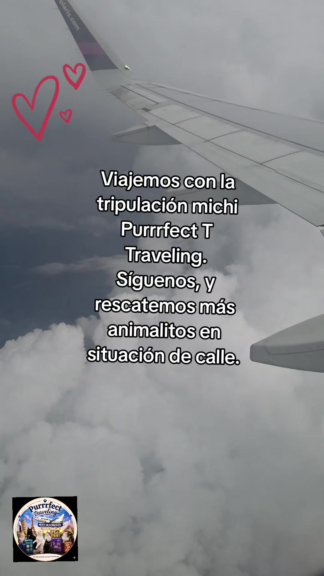 @Purrrfect Traveling