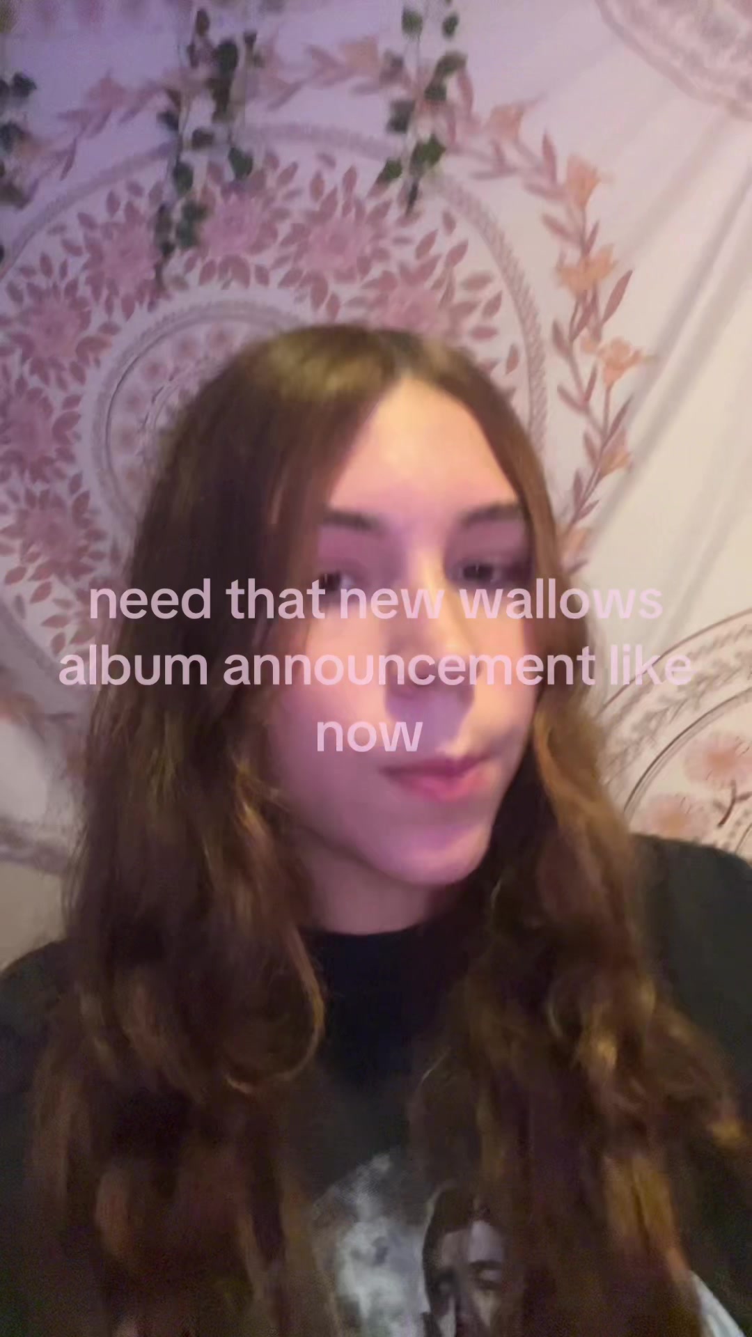 @gabby ౨ৎ
