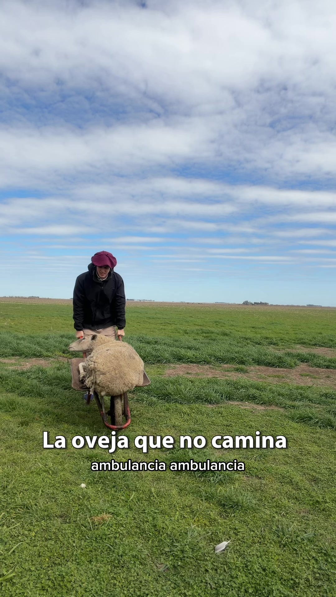 @Cristóbal Combes