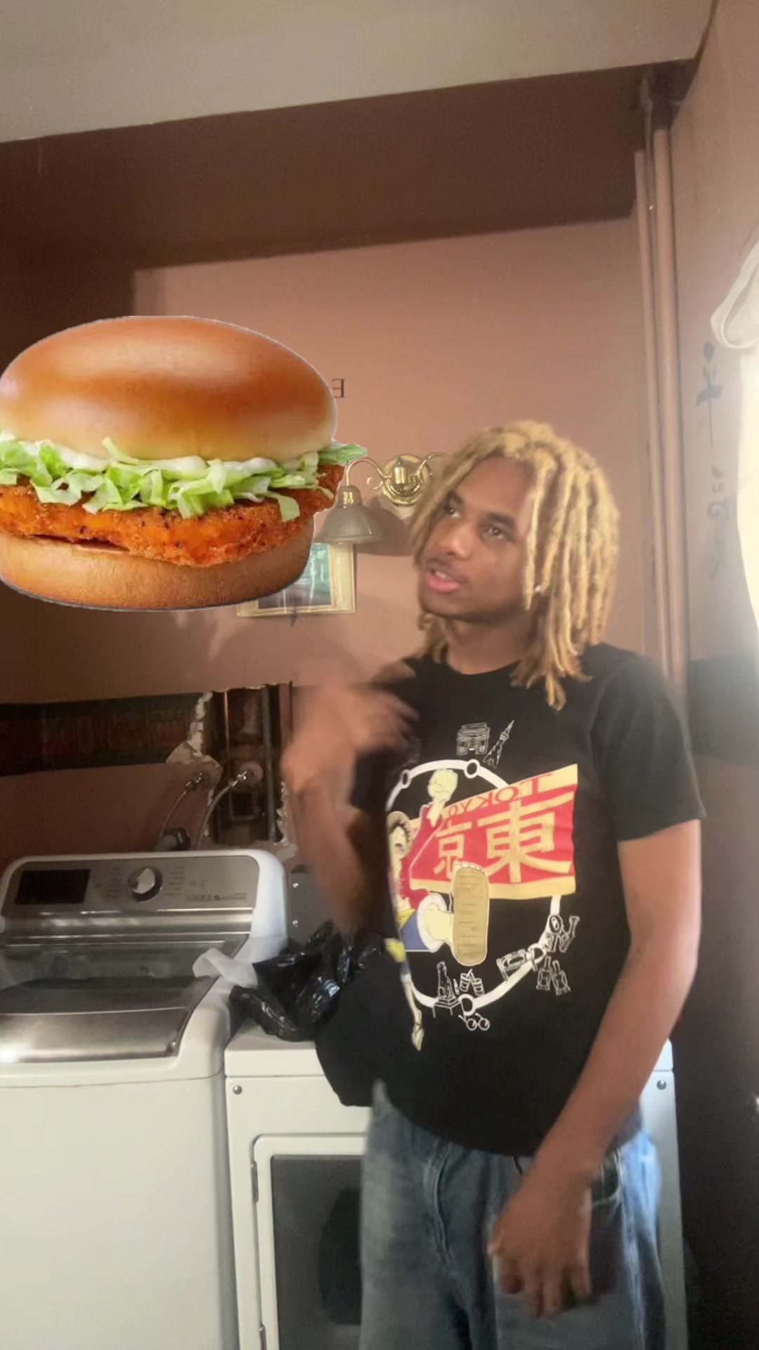 @ohbabyilovemcchickens