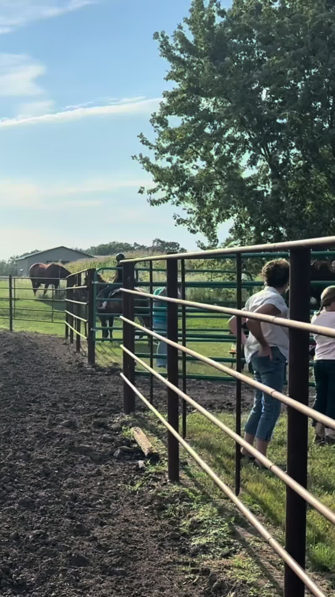 @Living Lucky Quarter Horses