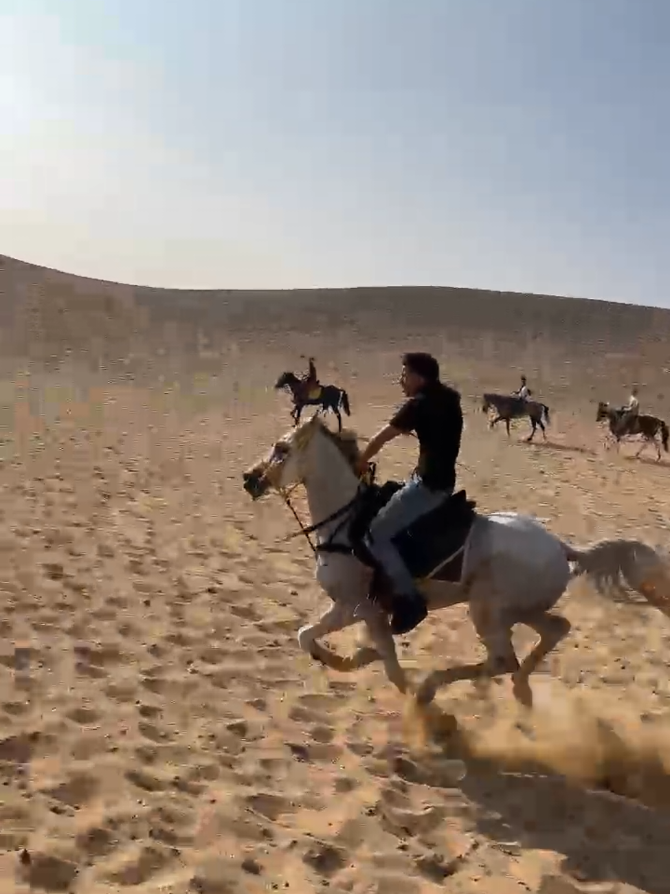 @ashoreldawly1🐎